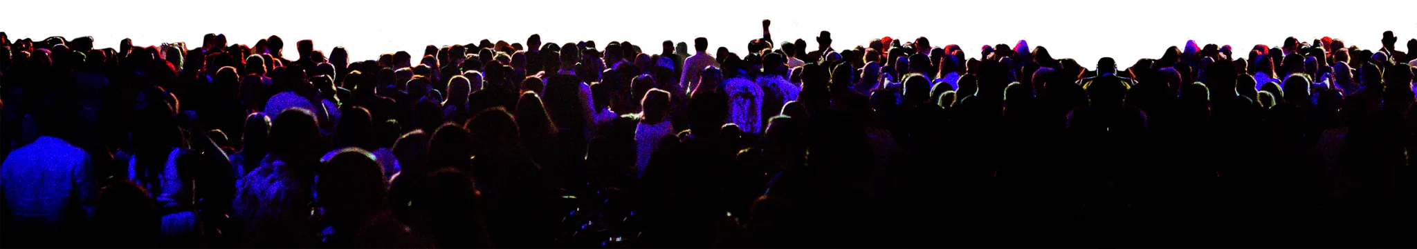 A huge crowd of people cheering and having fun